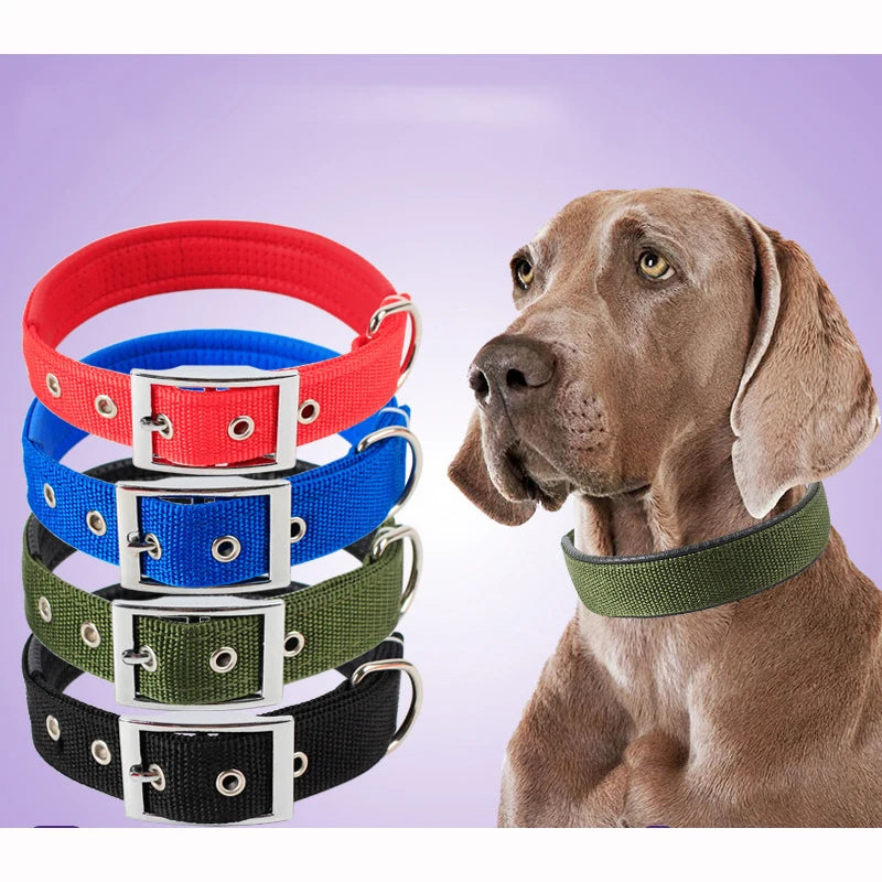 Solide Hundehalsbänder Nylon-Hundehalsband für kleine, mittelgroße und große Hunde Teddy Keji Pitbull Bulldog Beagle