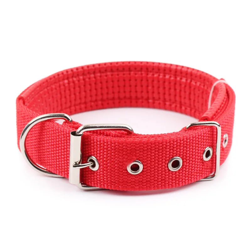 Solide Hundehalsbänder Nylon-Hundehalsband für kleine, mittelgroße und große Hunde Teddy Keji Pitbull Bulldog Beagle