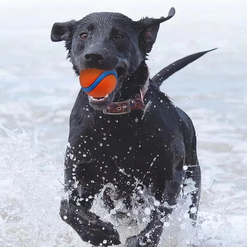 Hundespielzeugball, Hunde-Apportierungsball, Spielzeug, robuster Haustierball, Welpen-Kauspielzeug, fester, elastischer Springball, Haustierzubehör für große, mittelgroße und kleine