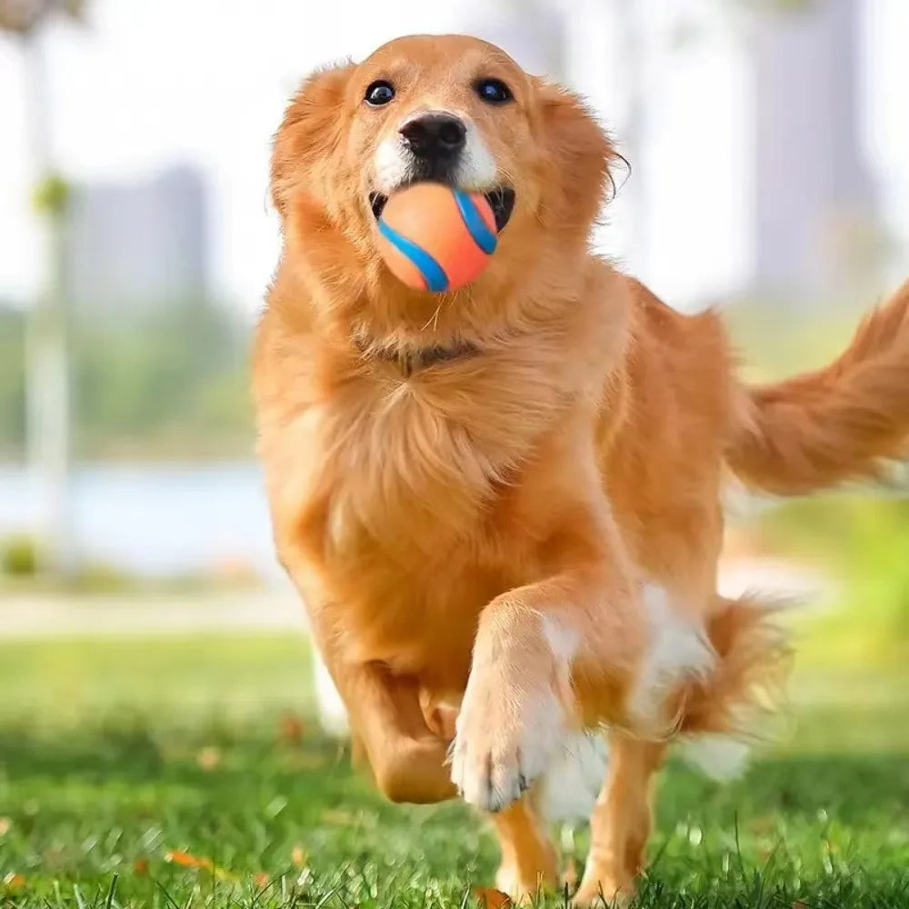 Hundespielzeugball, Hunde-Apportierungsball, Spielzeug, robuster Haustierball, Welpen-Kauspielzeug, fester, elastischer Springball, Haustierzubehör für große, mittelgroße und kleine
