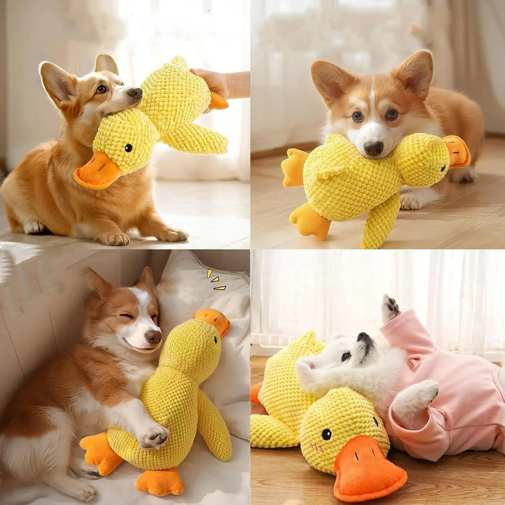 Enten-Hundespielzeug, Plüsch, kaubeständig, langlebiges Hundespielzeug mit Quacking-Sound, Zähneknirschen, Relief, weicher Begleiter für kleine große Hunde