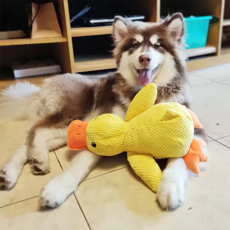 Hundespielzeug Stomping Ente Bissfest Schleifen Zähne Reinigung Großer Hund Interaktive Unterhaltung Welpe Langeweile Haustier Plüschtier