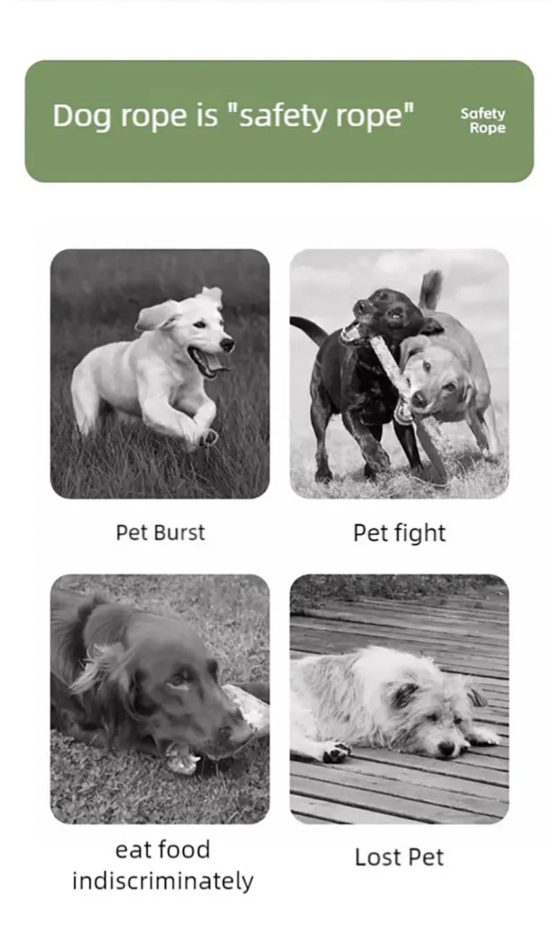 Hundeleine, Laufleine für Haustiere, kontrastierende Dopaminleine für Hunde im Freien, Heimtierbedarf