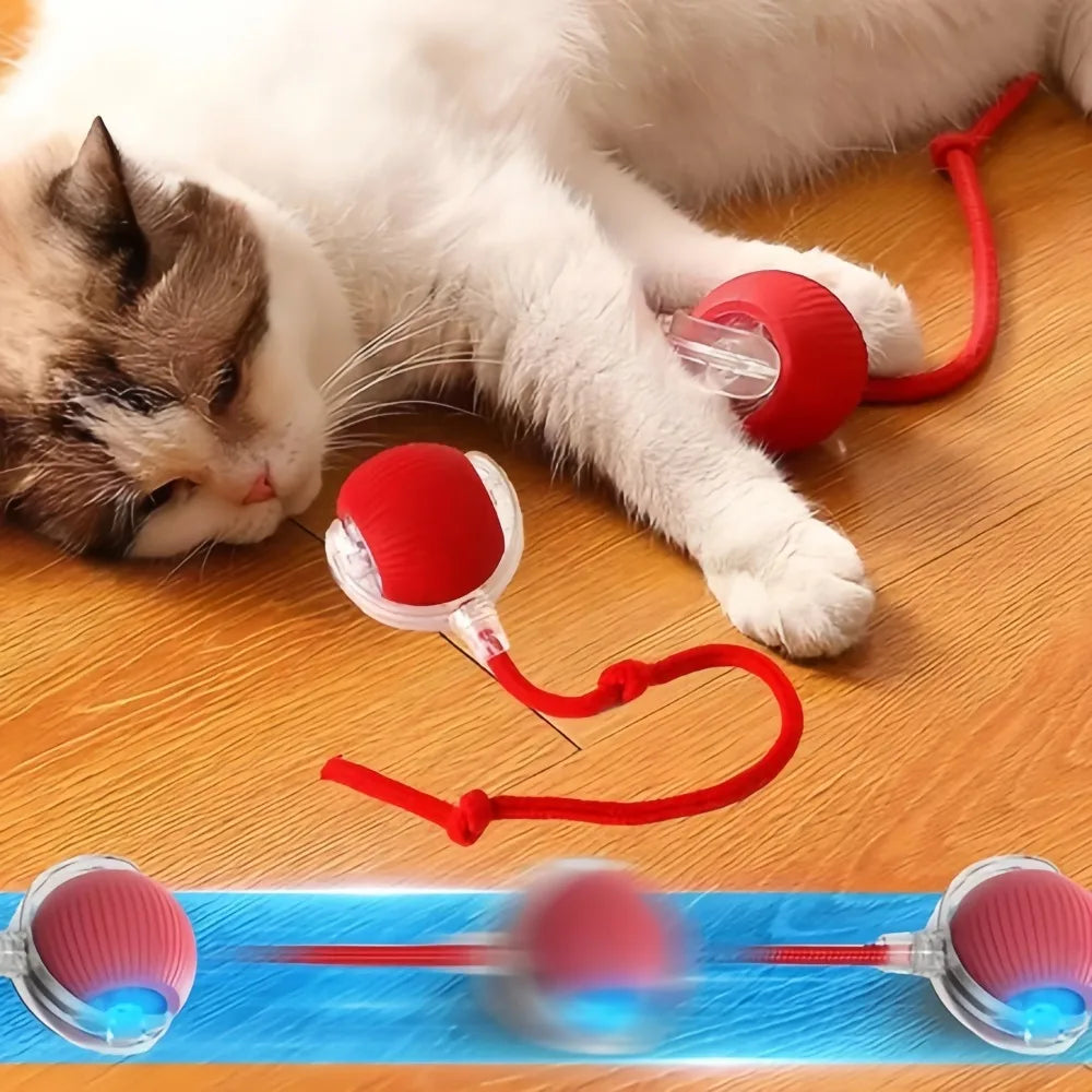 Automatischer Hundespielball zur Selbstbeschäftigung und Langeweile-Linderung, Elektrisches Bissresistentes Smart-Spielzeug für Welpen-Training