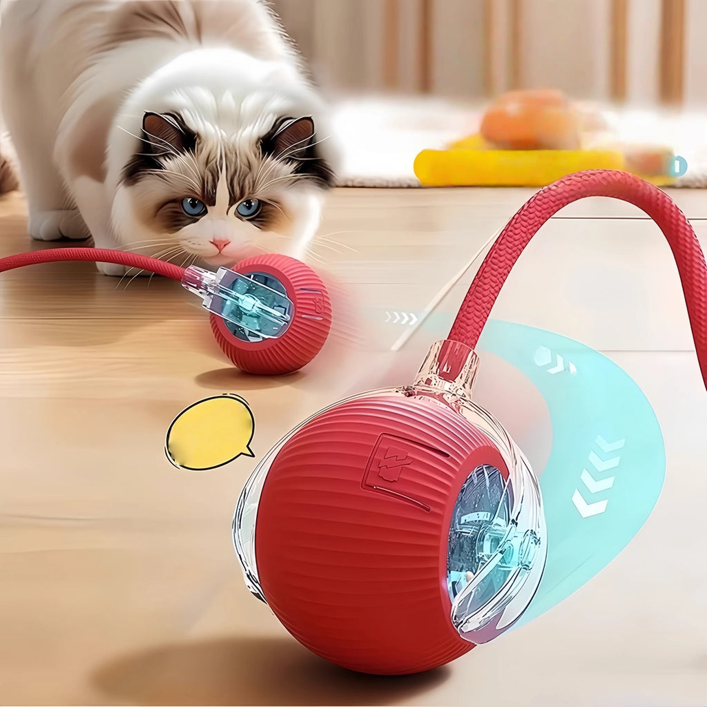 Automatischer Hundespielball zur Selbstbeschäftigung und Langeweile-Linderung, Elektrisches Bissresistentes Smart-Spielzeug für Welpen-Training