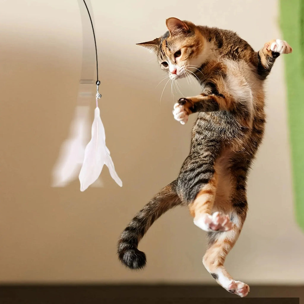 Cat Teaser Spielzeug-interaktive Glocke & Feder Zauberstab-lange Saugnapfs tange für aufregende Playtime-Abenteuer-ultimatives Katzen spielzeug
