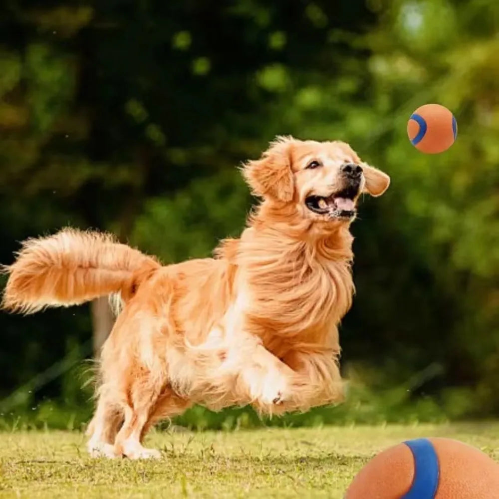 Hundespielzeugball, Hunde-Apportierungsball, Spielzeug, robuster Haustierball, Welpen-Kauspielzeug, fester, elastischer Springball, Haustierzubehör für große, mittelgroße und kleine