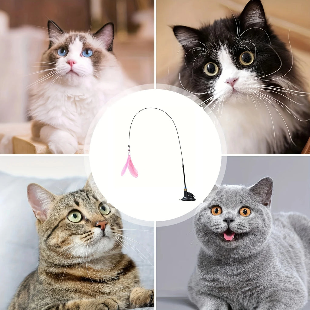 Cat Teaser Spielzeug-interaktive Glocke & Feder Zauberstab-lange Saugnapfs tange für aufregende Playtime-Abenteuer-ultimatives Katzen spielzeug