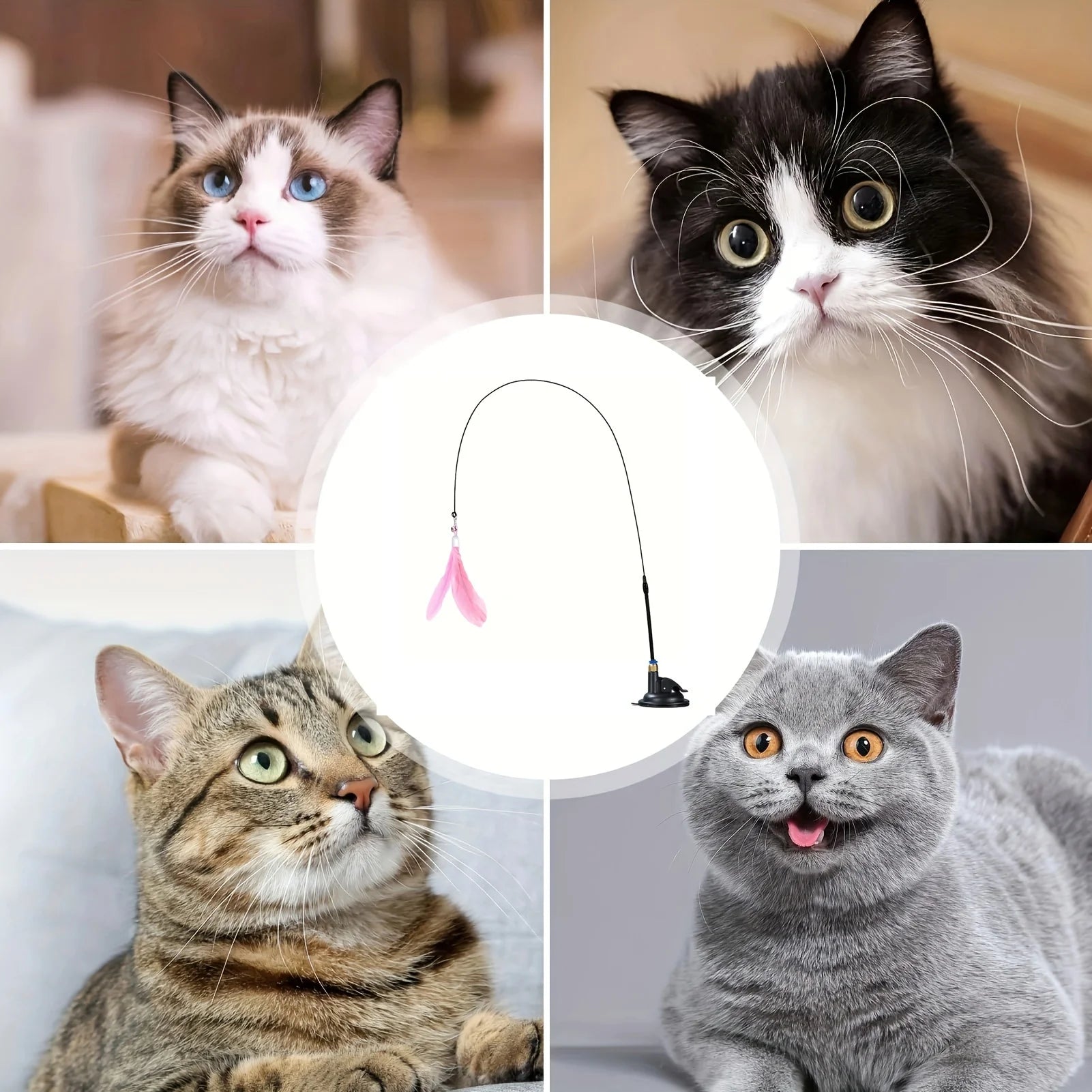 Cat Teaser Spielzeug-interaktive Glocke & Feder Zauberstab-lange Saugnapfs tange für aufregende Playtime-Abenteuer-ultimatives Katzen spielzeug