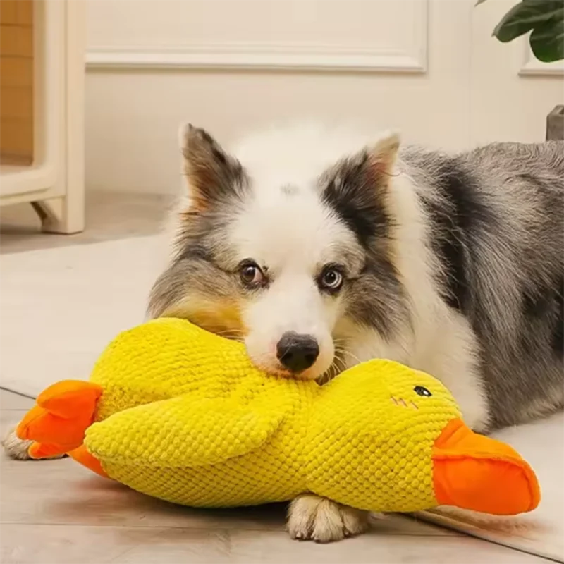Enten-Hundespielzeug, Plüsch, kaubeständig, langlebiges Hundespielzeug mit Quacking-Sound, Zähneknirschen, Relief, weicher Begleiter für kleine große Hunde