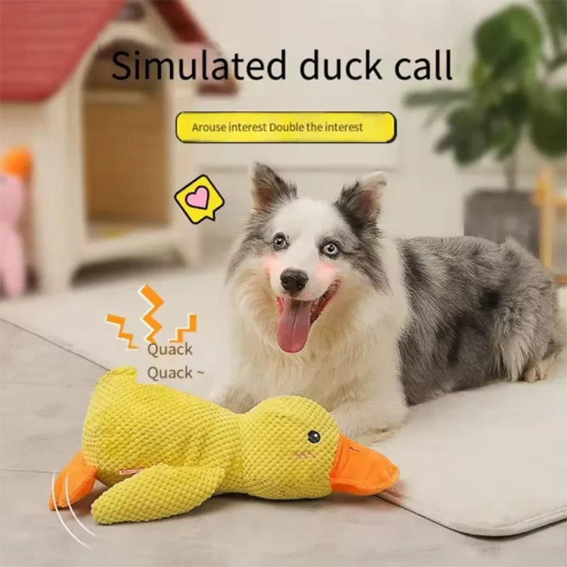 Enten-Hundespielzeug, Plüsch, kaubeständig, langlebiges Hundespielzeug mit Quacking-Sound, Zähneknirschen, Relief, weicher Begleiter für kleine große Hunde