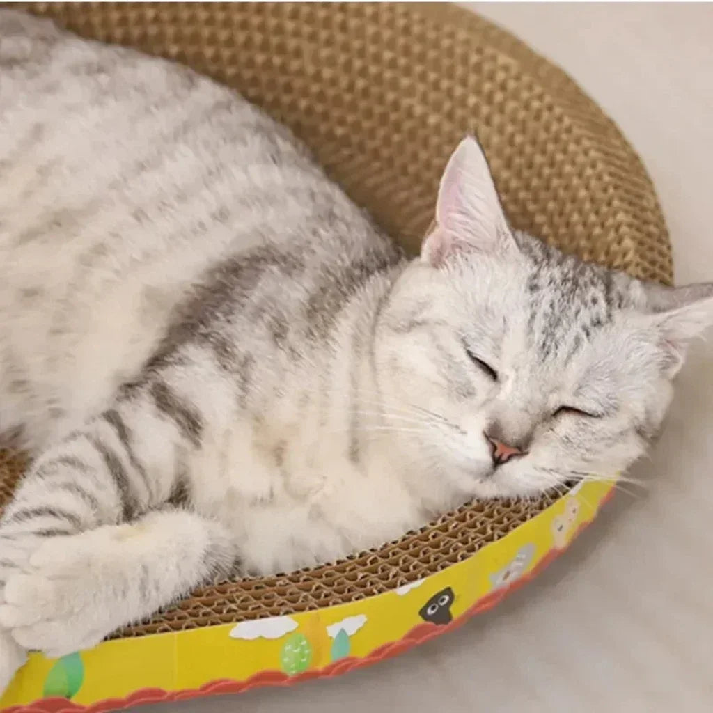 Katzenkratzbrett, schützt Möbel, Schleifklaue, Spielzeug, ovales Wellpappe, verschleißfestes Katzennest, Katzenzubehör