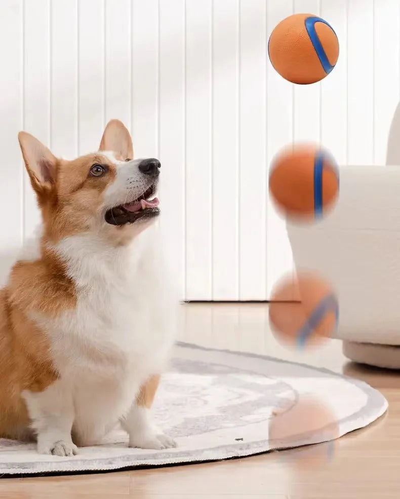 Hundespielzeugball, Hunde-Apportierungsball, Spielzeug, robuster Haustierball, Welpen-Kauspielzeug, fester, elastischer Springball, Haustierzubehör für große, mittelgroße und kleine