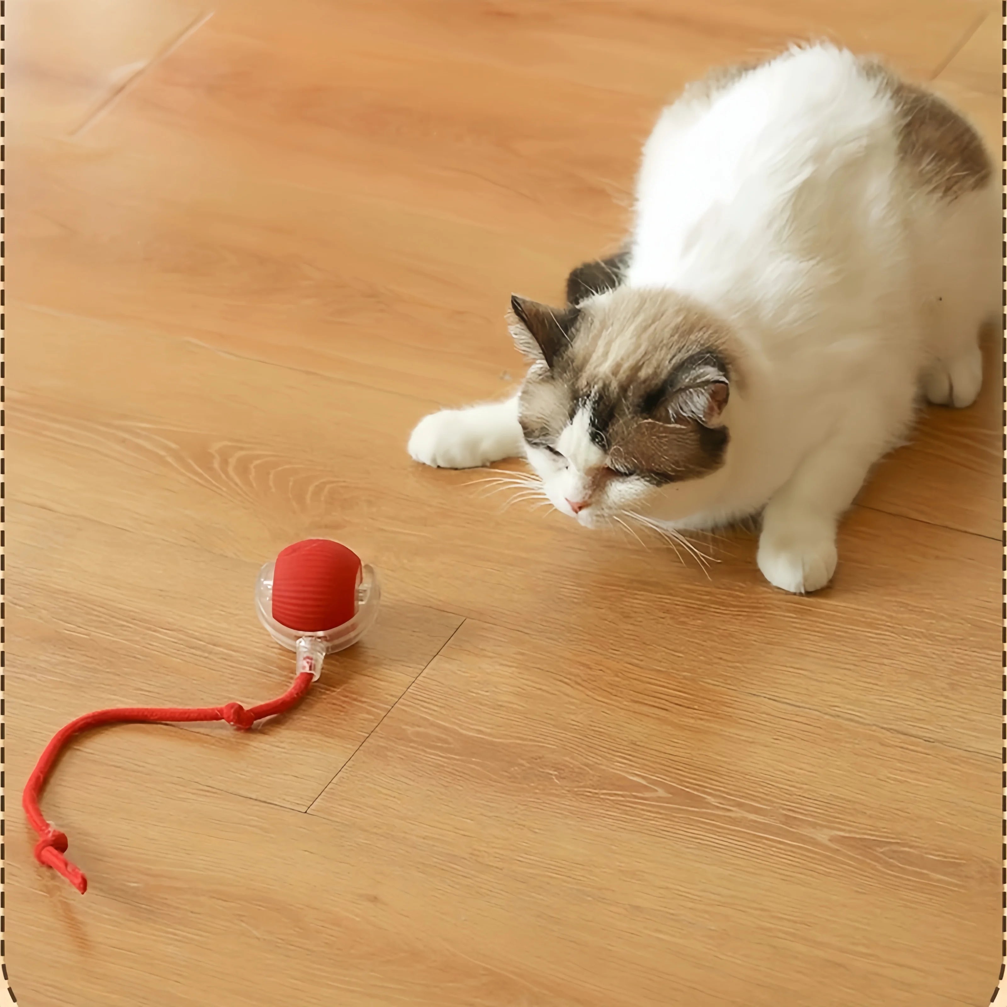 Automatischer Hundespielball zur Selbstbeschäftigung und Langeweile-Linderung, Elektrisches Bissresistentes Smart-Spielzeug für Welpen-Training