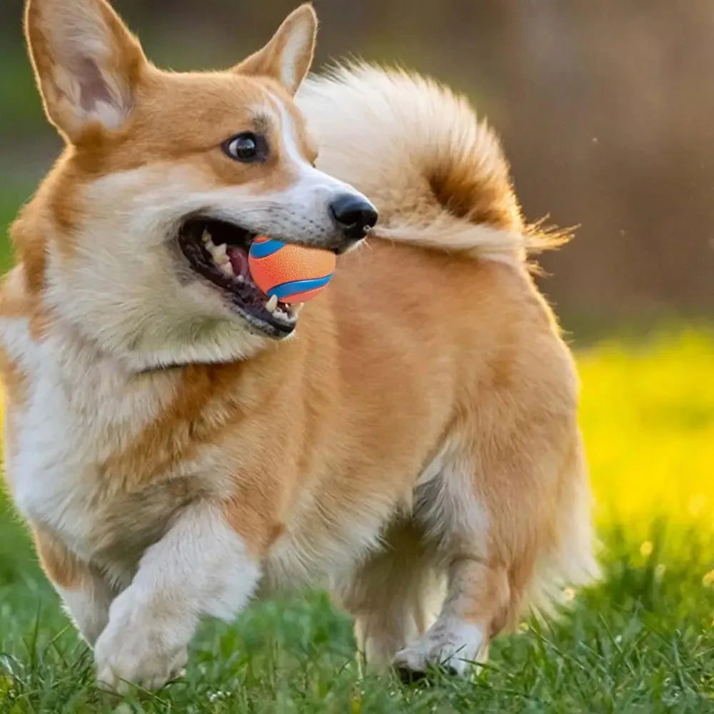 Hundespielzeugball, Hunde-Apportierungsball, Spielzeug, robuster Haustierball, Welpen-Kauspielzeug, fester, elastischer Springball, Haustierzubehör für große, mittelgroße und kleine